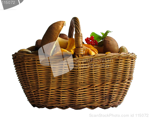 Image of Basket with mushrooms