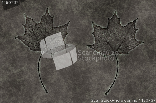 Image of autumn leaf