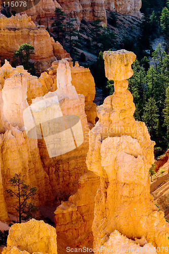 Image of Sunrise in Bryce