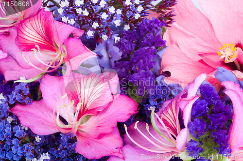 Image of colorful background of tropical flowers. 