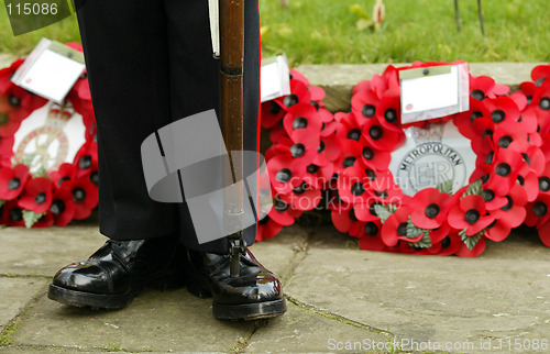 Image of Remembrance Day