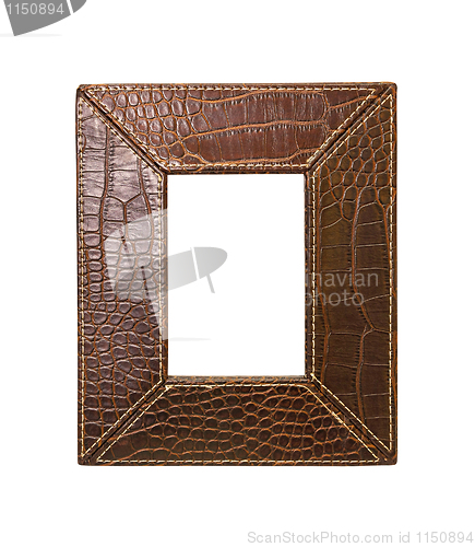 Image of Alligator frame