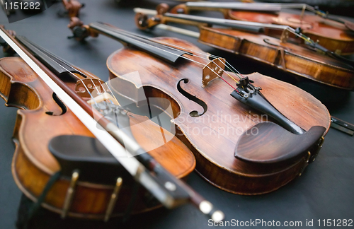 Image of  Violins