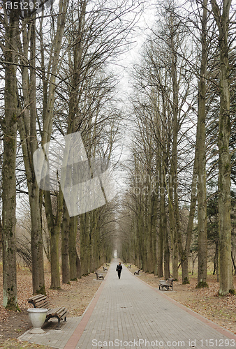 Image of Autumn in the park