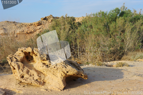 Image of Arava desert in the first rays of the sun