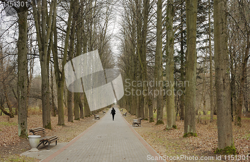 Image of Autumn in the park