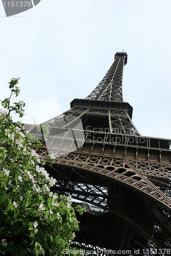 Image of The Eiffel Tower