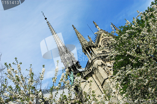 Image of Notre Dame de Paris