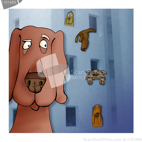 Image of dog and the city
