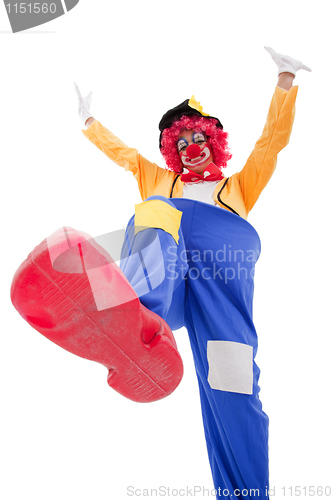 Image of Funny clown