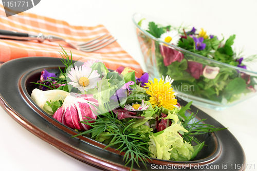 Image of Wild herb salad