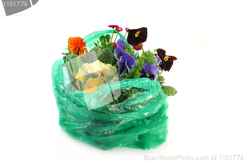 Image of Flower Shopping