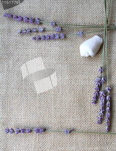 Image of Bunch of lavender flowers on sackcloth background