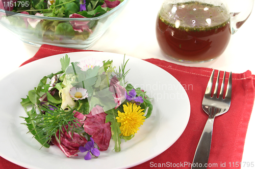 Image of Wild herb salad