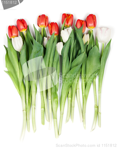 Image of bouquet of red tulips