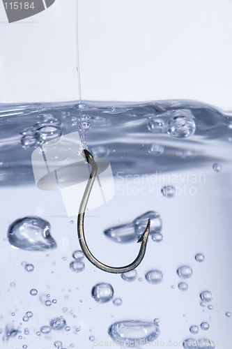 Image of Hook in water