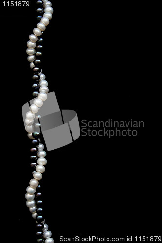 Image of White and black pearls on a black velvet 