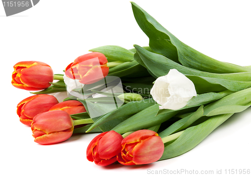Image of bouquet of red tulips