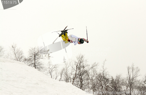 Image of skier flip in the air