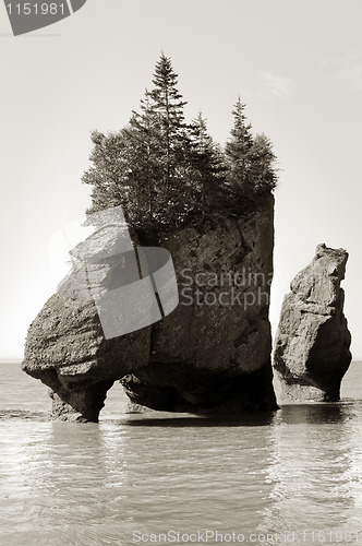 Image of Hopewell Rocks
