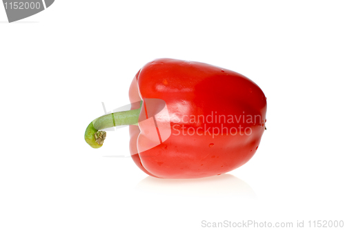 Image of Single red sweet pepper