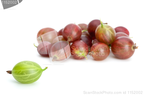 Image of Pile of red gooseberries and one green near