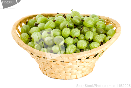 Image of Gooseberries in the wicker basket
