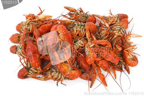 Image of Pile of boiled crawfishes