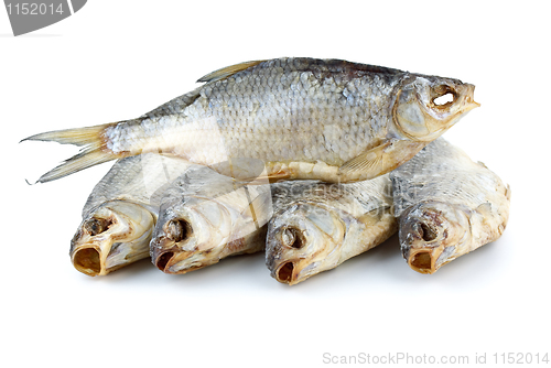 Image of Five dried sea roach fishes