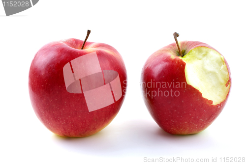 Image of Whole and bitten apples