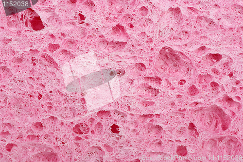 Image of Abstract background: sponge close-up