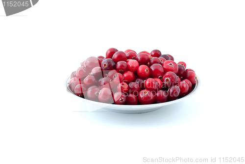 Image of Saucer filled with ripe cranberries