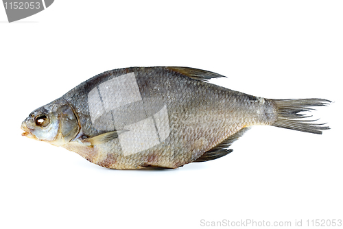 Image of Dried bream