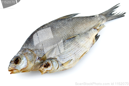 Image of Dried bream and sea roach fishes