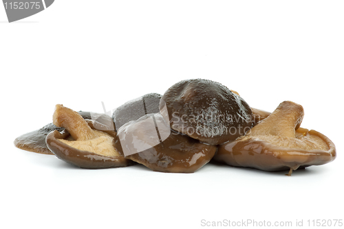 Image of Few marinated shiitake mushrooms