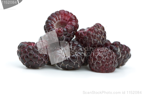 Image of Closeup shot of some blackberries