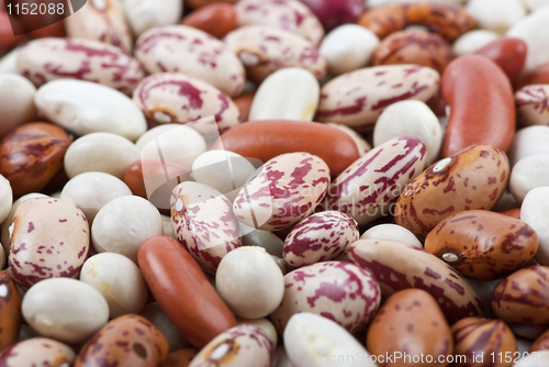 Image of Haricot beans of different breeds and colours
