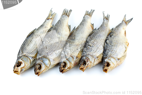 Image of Five dried sea roach fishes