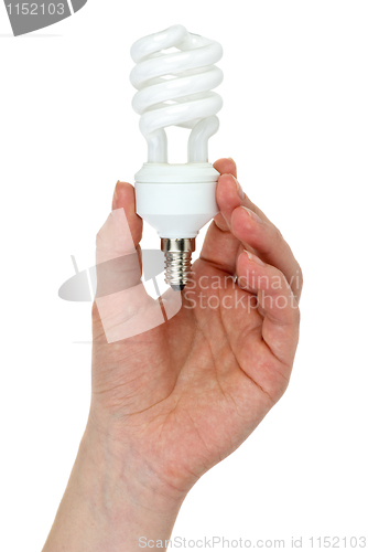 Image of Hand holding compact spiral-shaped fluorescent lamp