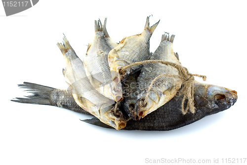 Image of Five dried sea roach fishes on the rope and bream fish