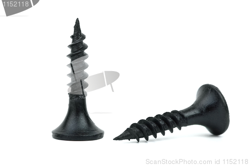 Image of Two black metal screws