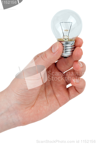 Image of Small tungsten light bulb in hand