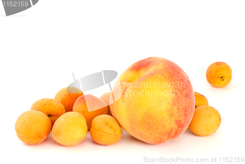 Image of Orange peach and some apricots