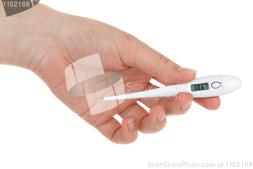 Image of Hand holding digital medical thermometer