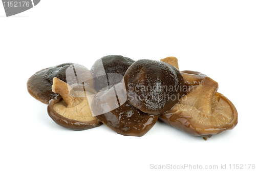 Image of Some marinated shiitake mushrooms