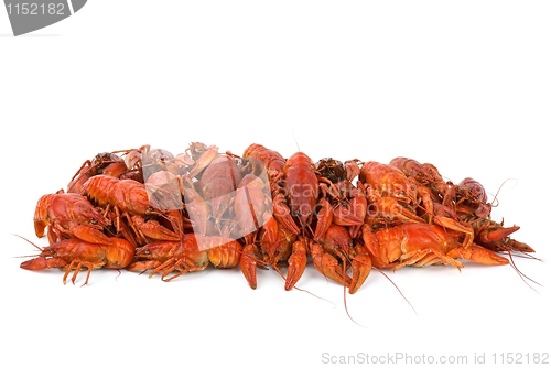 Image of Pile of boiled crawfishes