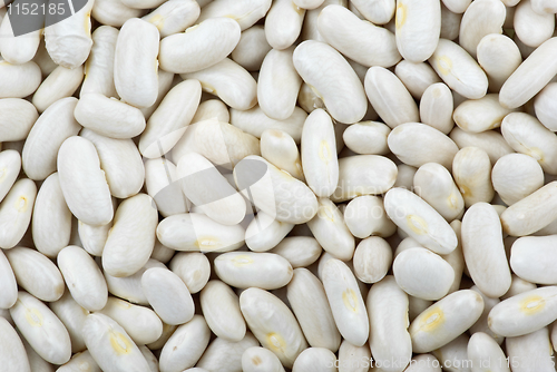 Image of Long white haricot beans