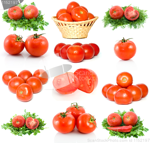 Image of Set of red ripe tomatoes