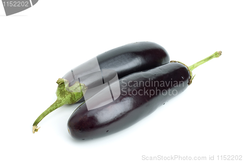 Image of Two aubergines