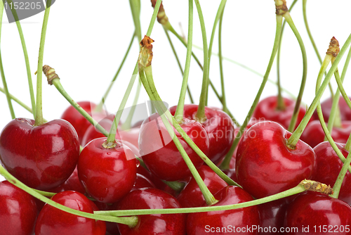 Image of Red cherries with stalks